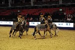 Quadrille - 00733